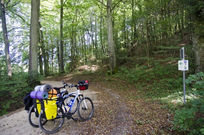 Higuera de la Sierra Asia ALEMANIA  Aventura Amazonia.jpg